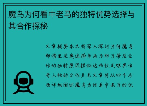 魔鸟为何看中老马的独特优势选择与其合作探秘